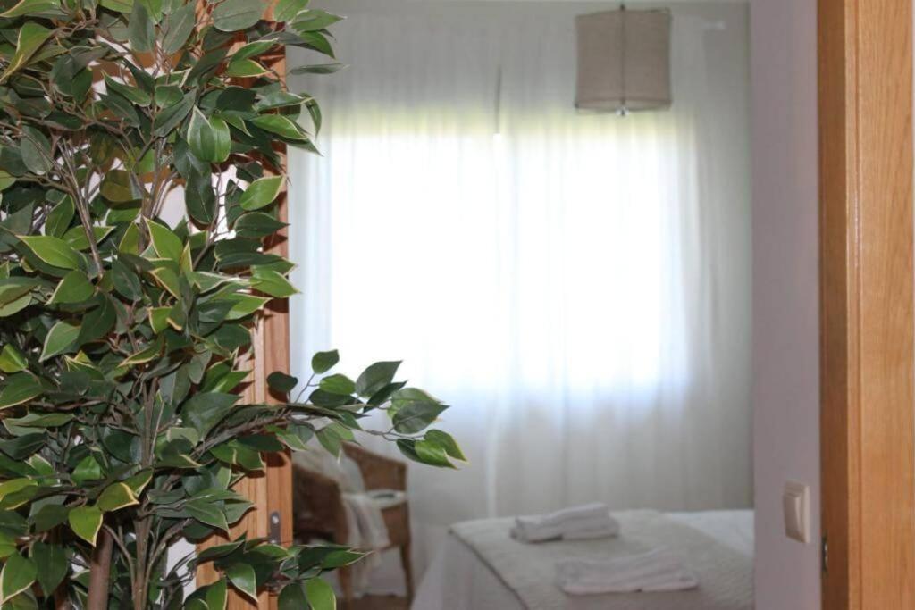 Apartamento Riomar Ribadumia Екстериор снимка